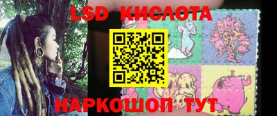 PSILOCYBIN Краснознаменск