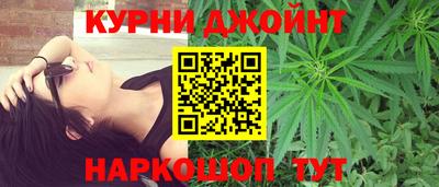 крисы Кулебаки