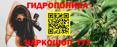 PSILOCYBIN Краснознаменск