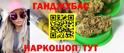 крисы Кулебаки