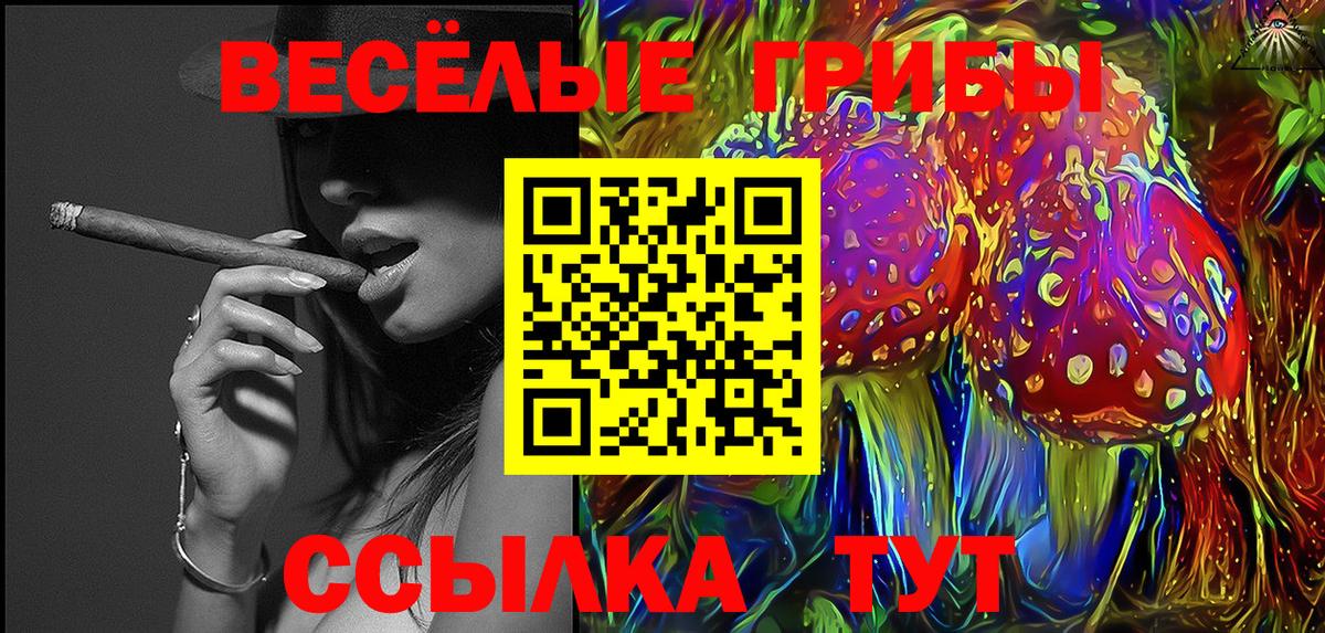 Галлюциногенные грибы Psilocybe  Вход с VPN  Когалым  Галлюциногенные грибы мухоморы 